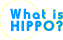 What is HIPPO?