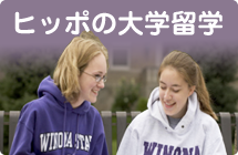 ヒッポの大学留学